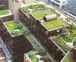 greenroofing_3